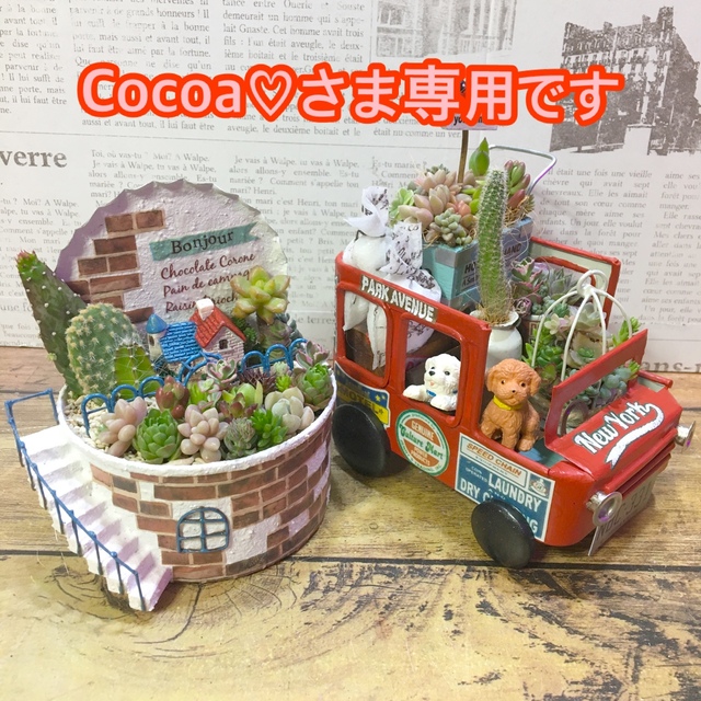 多肉植物の寄せ植え　Cocoa♡さま専用ページ ハンドメイドのフラワー/ガーデン(その他)の商品写真