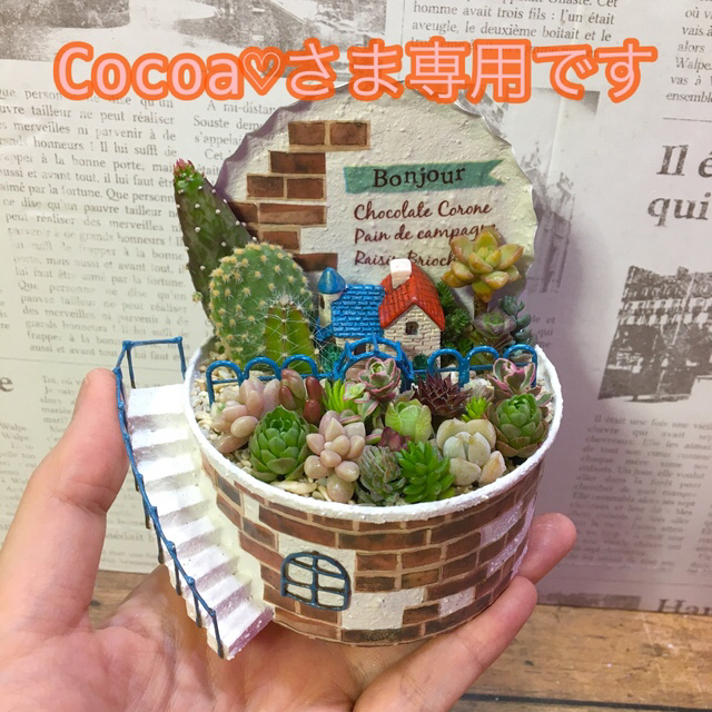 多肉植物の寄せ植え　Cocoa♡さま専用ページ ハンドメイドのフラワー/ガーデン(その他)の商品写真