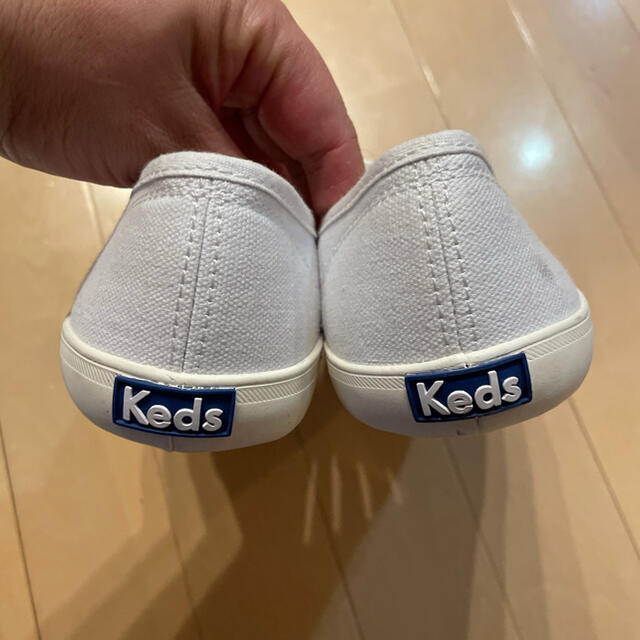 Keds(ケッズ)の新品タグ付★ケッズ　keds スニーカー　24.5センチ レディースの靴/シューズ(スニーカー)の商品写真