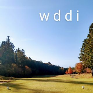 ゴルフヘッドカバーDW/FW/UT/UT用 ホルスタイン4点セット送料無料