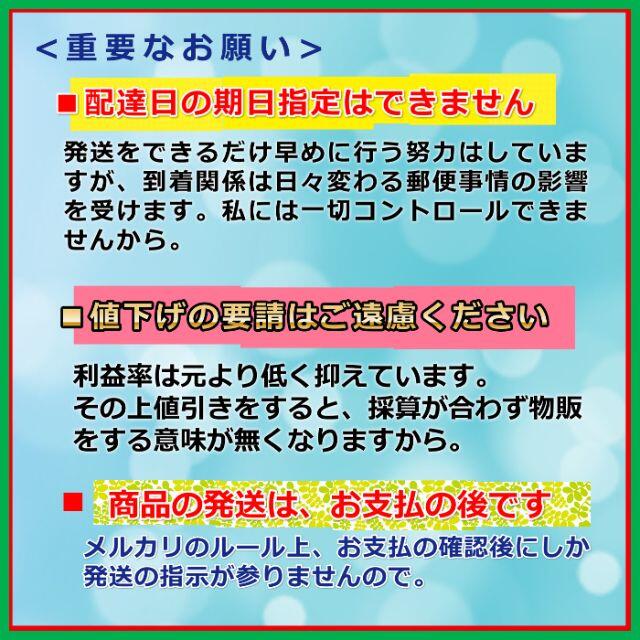 ヌーブラ シリコンブラ B 激盛り 水着 ドレス コスプレ nubra レディースの下着/アンダーウェア(ヌーブラ)の商品写真