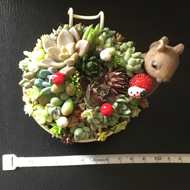 多肉植物　寄せ植え♡掛けて飾れます ハンドメイドのフラワー/ガーデン(その他)の商品写真