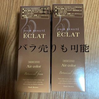 フューチャーラボヘアポーテエクラボタニカルエアカラーフォーム(白髪染め)