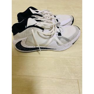 ナイキ(NIKE)のZOOM FREAK 1 (バスケットボール)