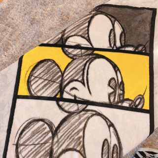 フランフラン(Francfranc)のFrancfranc Disneyブランケット(キャラクターグッズ)