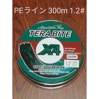 TERABAIT PEライン(4本編み),300m巻,1.2#(釣り糸/ライン)