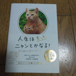 人生はもっとニャンとかなる！ 中古美品(その他)