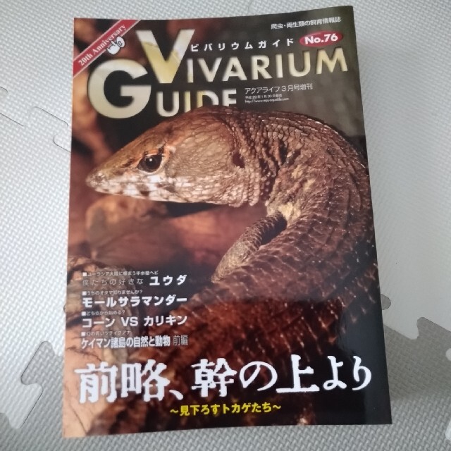 ビバリウムガイド NO.76 2017年 03月号 エンタメ/ホビーの雑誌(趣味/スポーツ)の商品写真