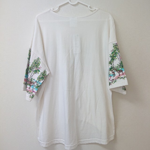 ScoLar(スカラー)のScolor  スカラー オアシスプリント Tシャツ オフホワイト レディースのトップス(Tシャツ(半袖/袖なし))の商品写真