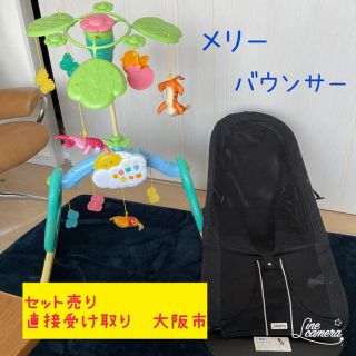 ベビービョルン(BABYBJORN)の専用(その他)