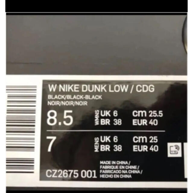 COMME des GARÇONS × Nike WMNS Dunk Low