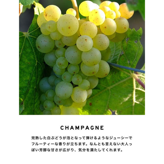 【新品未開封】SHOLAYERED  ルームフレグランス　シャンパン 1