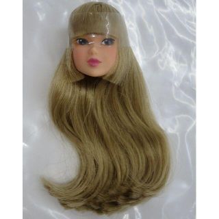 モノクローム・バード　ヘッドのみ　momoko doll (人形)