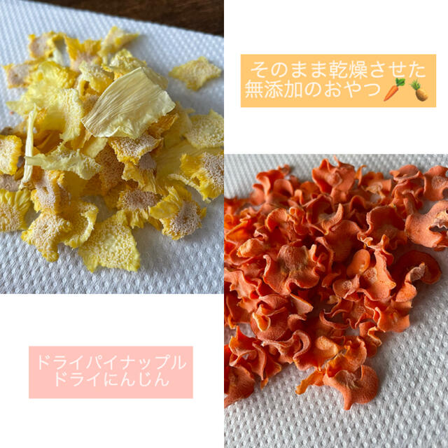 人気沸騰ブラドン 鱗Nail♡パイナップル