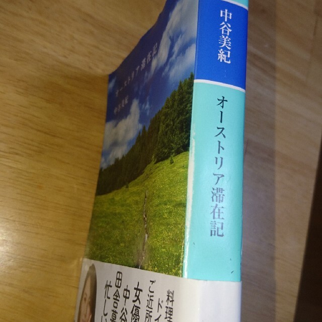 オーストリア滞在記 エンタメ/ホビーの本(文学/小説)の商品写真