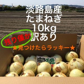 ★見つけたらラッキー★ 淡路島産　たまねぎ　10kg  訳あり(野菜)