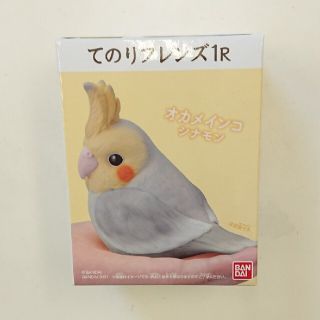 てのりブレンズ 1R オカメインコ シナモン(その他)