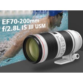 キヤノン(Canon)のEF70-200mm F2.8L IS III USM(レンズ(ズーム))