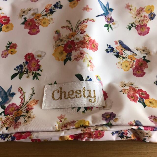 Chesty(チェスティ)のchesty大きめポーチ　付録 レディースのファッション小物(ポーチ)の商品写真