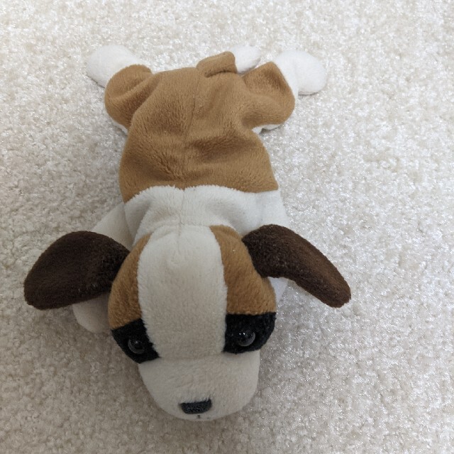 値下げ 美品 ty Beanie Babies  犬  ぬいぐるみ 2つセット エンタメ/ホビーのおもちゃ/ぬいぐるみ(ぬいぐるみ)の商品写真