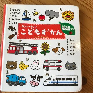 こどもずかん どうぶつ・くだもの・やさい・のりもの・くるま・むし(絵本/児童書)