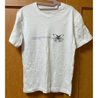 KAISOU  オーガニックコットン100%(Tシャツ(半袖/袖なし))