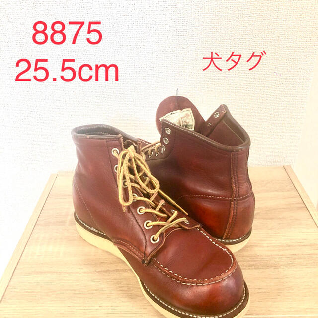 RED WING 四角犬タグ　レッドウイング アイリッシュセッター 8875