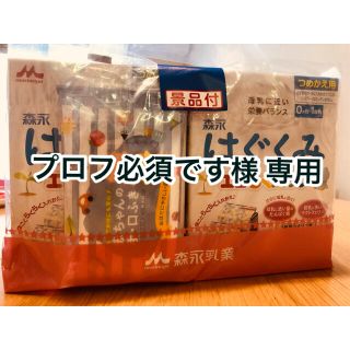 モリナガニュウギョウ(森永乳業)の【プロフ必須です様　専用】森永　はぐくみ　エコらくパック　つめかえ用(その他)