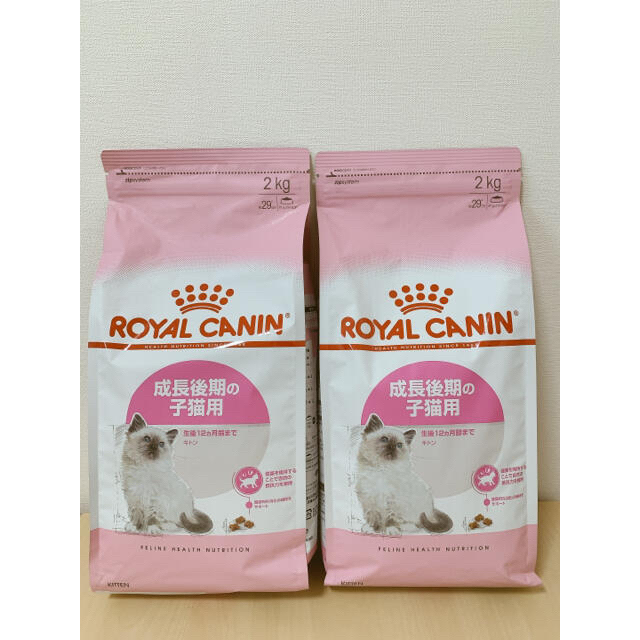 【即購入OK】新品未開封 ロイヤルカナン キトン 成長後期の子猫用 2kg×2袋