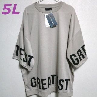 ビッグロゴ　ベージュ　新品　５Ｌ　メッシュｔ　英字　ｔシャツ　ドライ(Tシャツ/カットソー(半袖/袖なし))