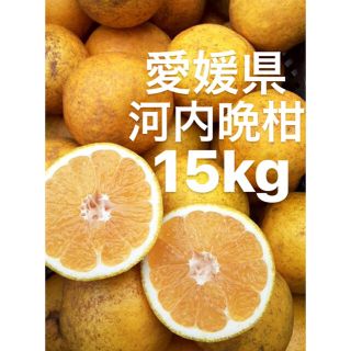 愛媛県　低農薬　宇和ゴールド　河内晩柑　15kg(フルーツ)