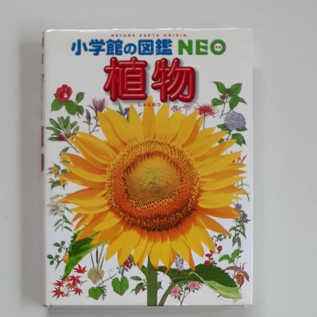 小学館の図鑑NEO「植物」 美品 エンタメ/ホビーの本(絵本/児童書)の商品写真