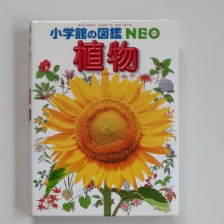 小学館の図鑑NEO「植物」 美品(絵本/児童書)