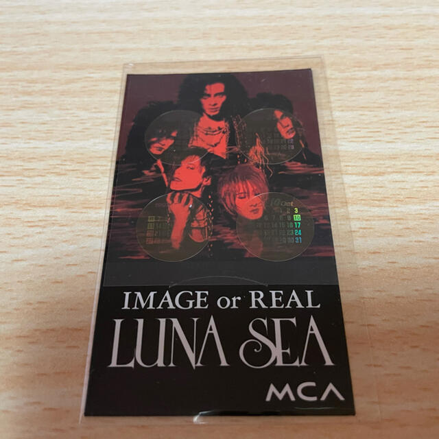 LUNA SEA/IMAGE or REALツアー/ロングTシャツ エンタメ/ホビーのタレントグッズ(ミュージシャン)の商品写真