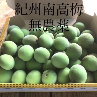 紀州南高梅 無農薬 1.2kg(フルーツ)