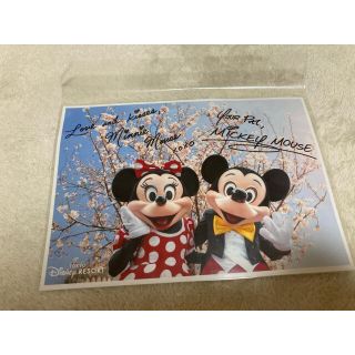 ディズニー(Disney)のミッキー ミニー 写真(キャラクターグッズ)