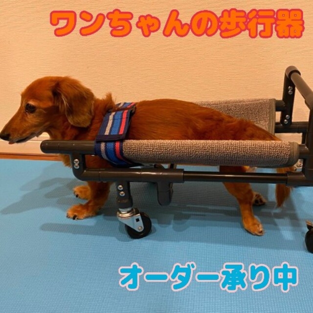投げ売り トイプー4輪歩行器!リハビリ!食事補助!犬の歩行器!介護用!犬