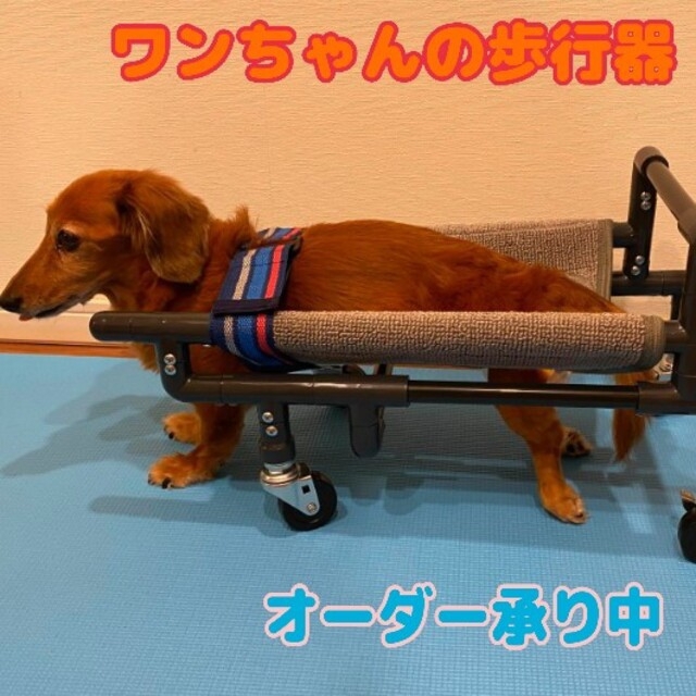 カニンヘンダックス4輪歩行器!リハビリ!食事補助!犬の歩行器!介護!犬用車椅子!