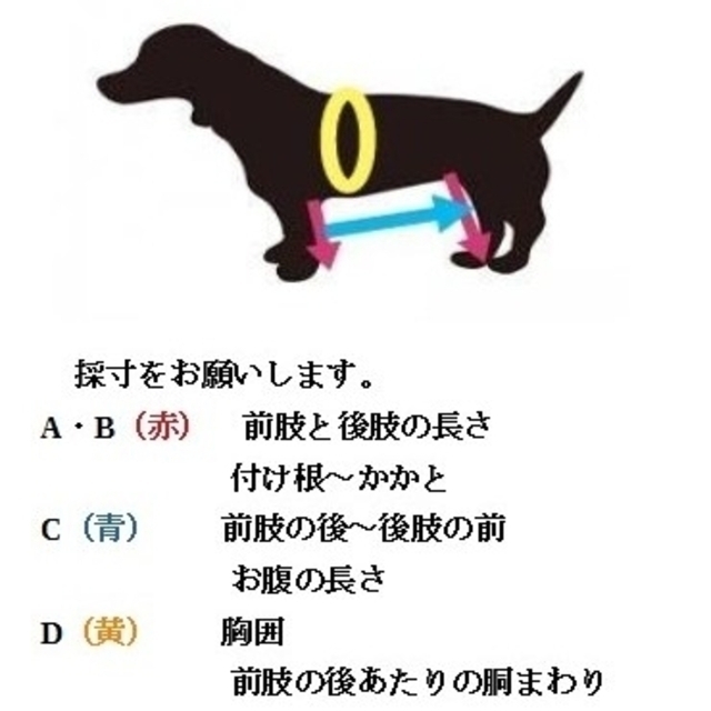 介護が必要なワンちゃんの４輪歩行器