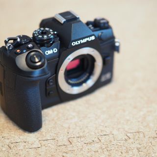 オリンパス(OLYMPUS)の美品　OM-D E-M1 Mark III ボディ(ミラーレス一眼)