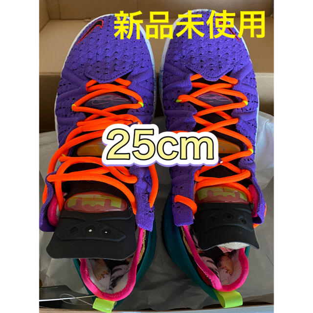 靴/シューズNIKE LEBRON XVIII  25cm