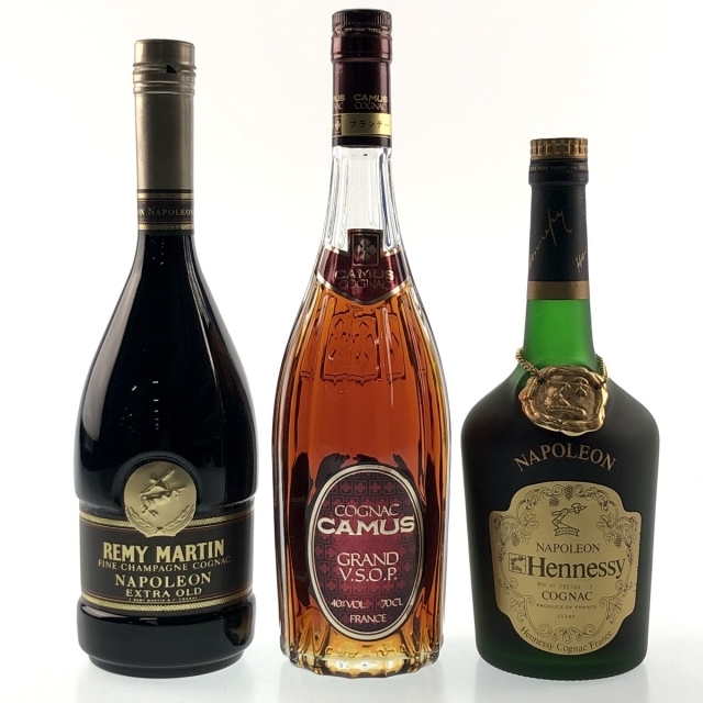 3本 REMY MARTIN CAMUS Hennessy コニャック