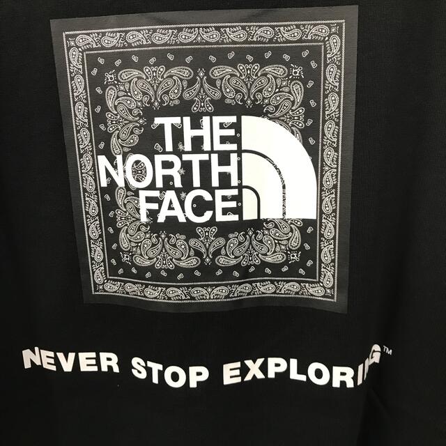 THE NORTH FACE(ザノースフェイス)のノースフェイスTシャツ　サイズL メンズのトップス(Tシャツ/カットソー(半袖/袖なし))の商品写真