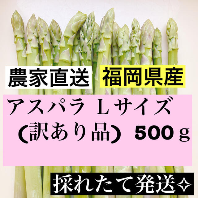 アスパラ Ｌサイズ(訳あり品)数量限定値下げ中 食品/飲料/酒の食品(野菜)の商品写真