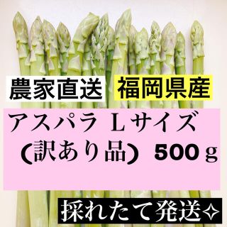 アスパラ Ｌサイズ(訳あり品)数量限定値下げ中(野菜)