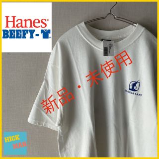 ヘインズ(Hanes)の【ヴィンテージ】Hanes tシャツ サイズM(Tシャツ/カットソー(半袖/袖なし))