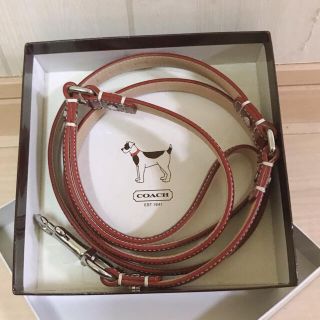 コーチ(COACH)の国内直営店購入　コーチ　リード　S(犬)