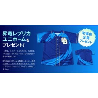 チュウニチドラゴンズ(中日ドラゴンズ)の【新品未使用】中日ドラゴンズ 「昇竜」ユニホーム 2019(応援グッズ)