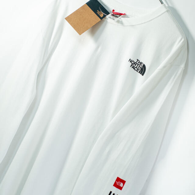 THE NORTH FACE(ザノースフェイス)の欧州限定◆21SS◆ノースフェイス アームプリント　ロンT UK L 日本L相当 メンズのトップス(Tシャツ/カットソー(七分/長袖))の商品写真