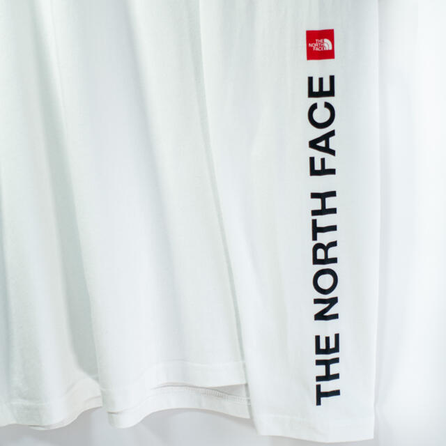 THE NORTH FACE(ザノースフェイス)の欧州限定◆21SS◆ノースフェイス アームプリント　ロンT UK L 日本L相当 メンズのトップス(Tシャツ/カットソー(七分/長袖))の商品写真